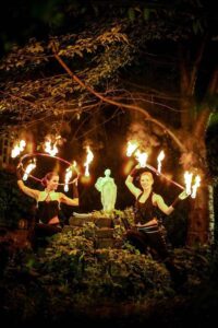 08=feuershow sachsen anhalt